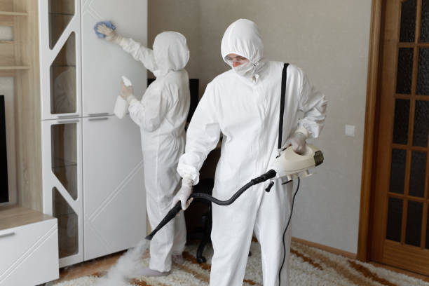 Affordable Sewage Cleanup solutions in Highland, MD